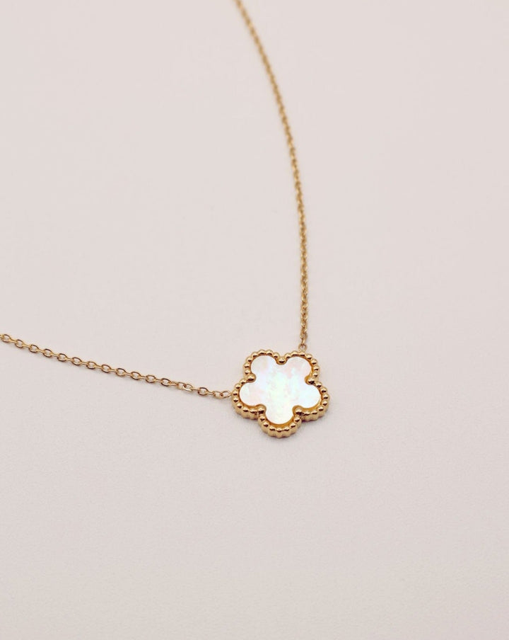 Collar Lucky - SMOLL republic